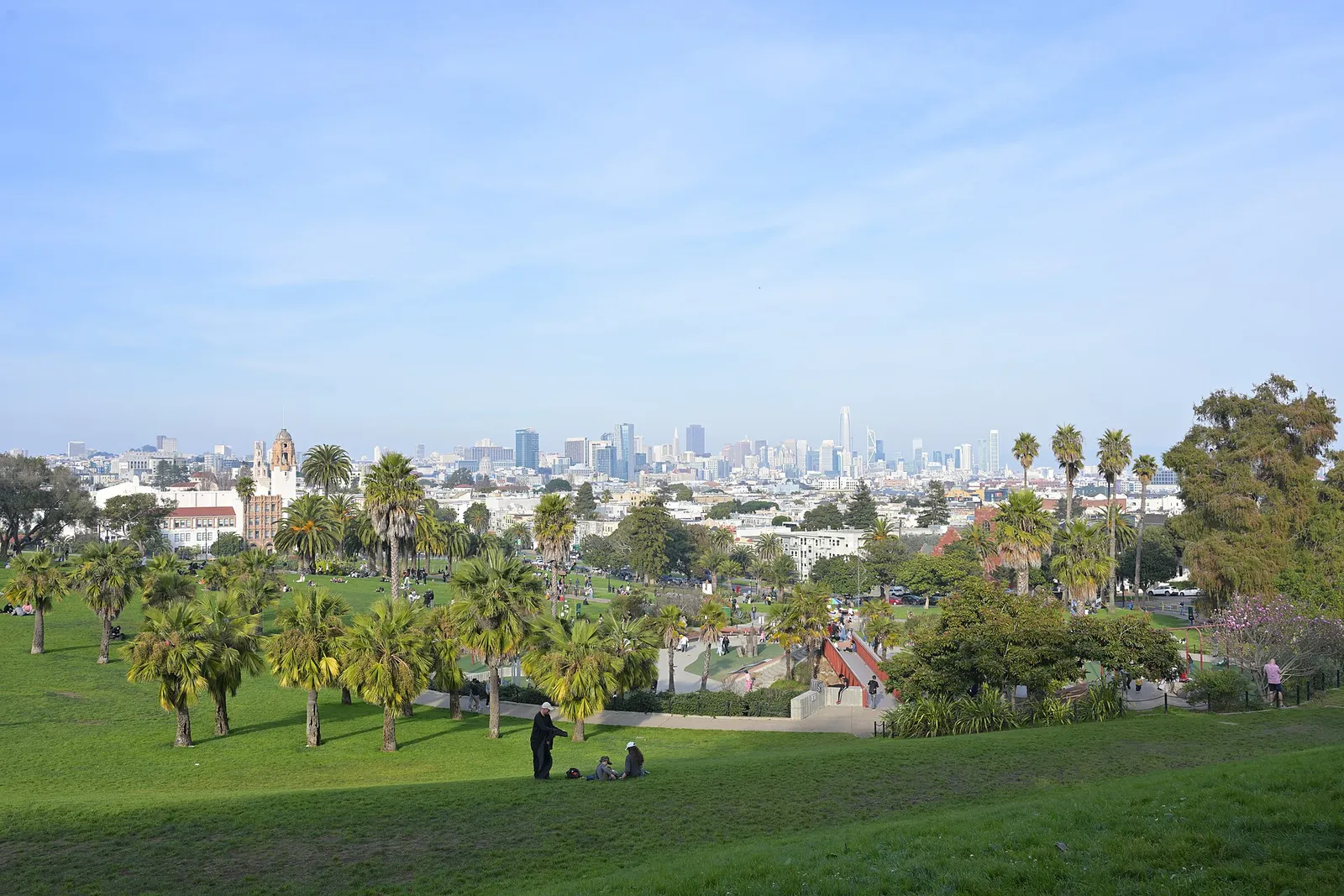 Mission Dolores Park lawn with the downtown skyline behind