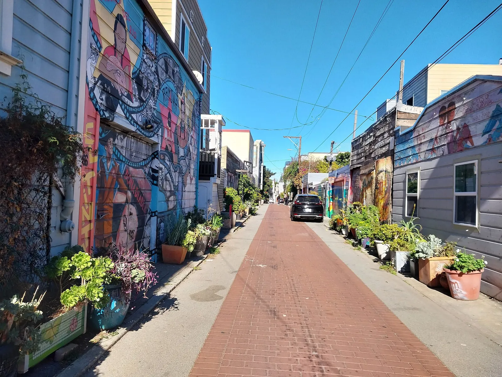 Murals on garage doors along Balmy Alley in the Mission