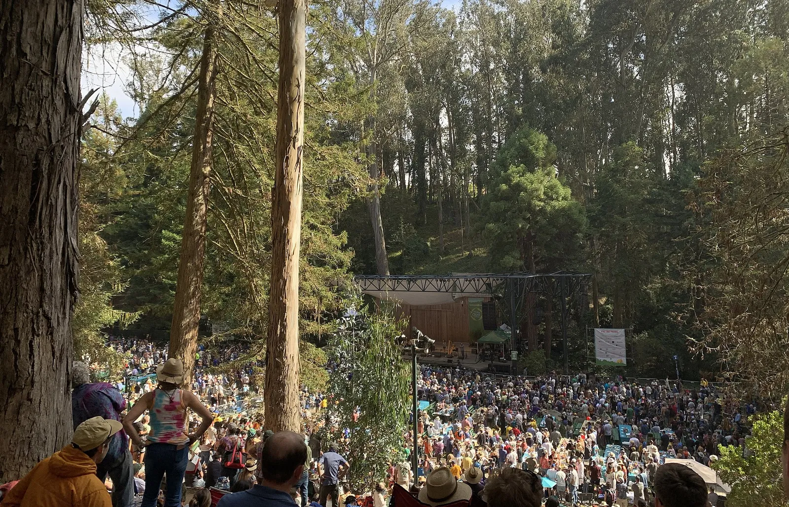 Audience in the amphitheater at the Stern Grove Festival among eucalyptus trees